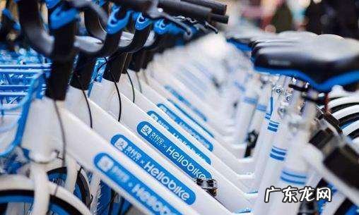 哈啰出行顺风车