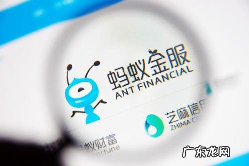蚂蚁金服基金