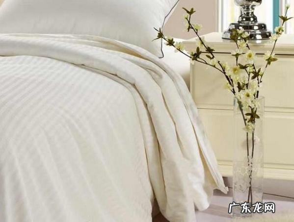 蚕丝被哪个牌子最好