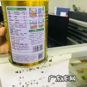 蛋白粉十大排名