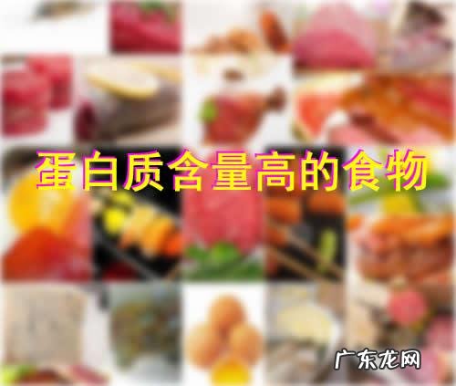 蛋白质高的食物排行榜