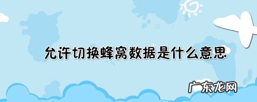 蜂窝数据是什么意思