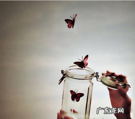 蝴蝶效应生活中的例子