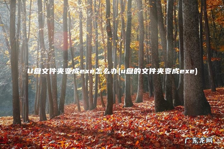 U盘文件夹变成exe怎么办(u盘的文件夹变成exe)