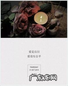 被偏爱的都有恃无恐什么歌