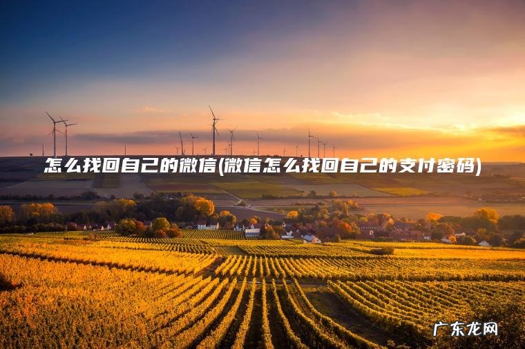 怎么找回自己的微信(微信怎么找回自己的支付密码)