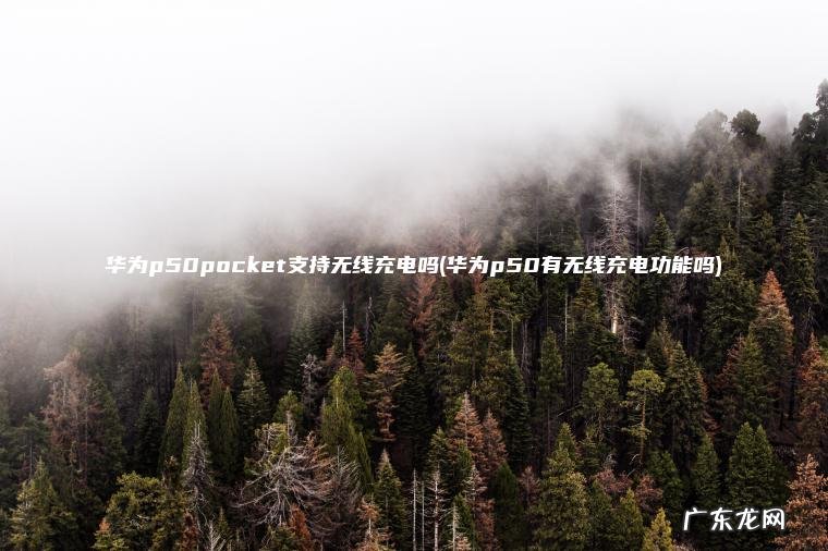 华为p50pocket支持无线充电吗(华为p50有无线充电功能吗)