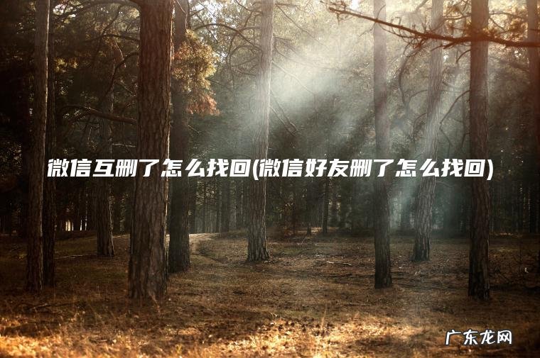 微信互删了怎么找回(微信好友删了怎么找回)