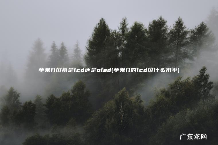 苹果11屏幕是lcd还是oled(苹果11的lcd屏什么水平)