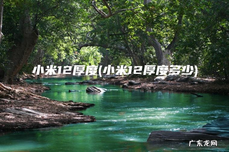 小米12厚度(小米12厚度多少)