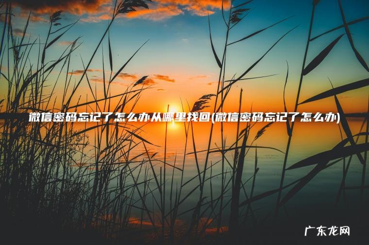 微信密码忘记了怎么办从哪里找回(微信密码忘记了怎么办)