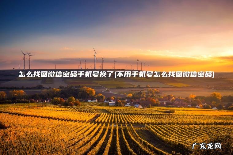 怎么找回微信密码手机号换了(不用手机号怎么找回微信密码)