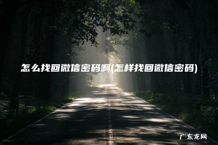 怎么找回微信密码啊(怎样找回微信密码)