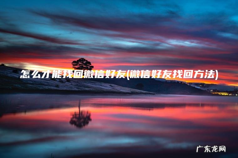 怎么才能找回微信好友(微信好友找回方法)