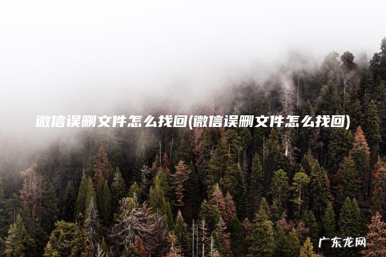 微信误删文件怎么找回(微信误删文件怎么找回)