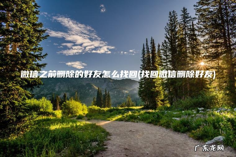 微信之前删除的好友怎么找回(找回微信删除好友)