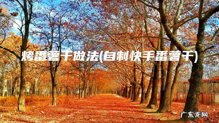 烤番薯干做法(自制快手番薯干)