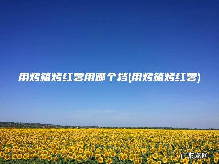 用烤箱烤红薯用哪个档(用烤箱烤红薯)