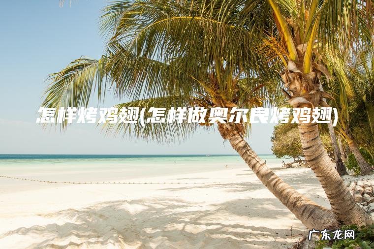 怎样烤鸡翅(怎样做奥尔良烤鸡翅)