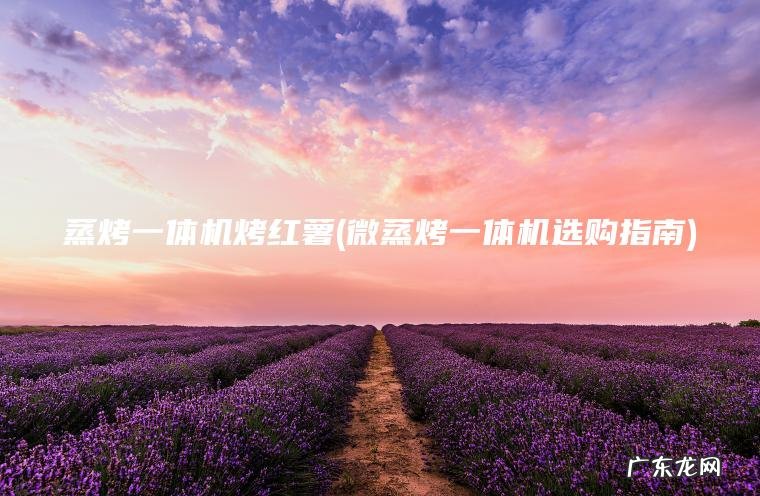 蒸烤一体机烤红薯(微蒸烤一体机选购指南)