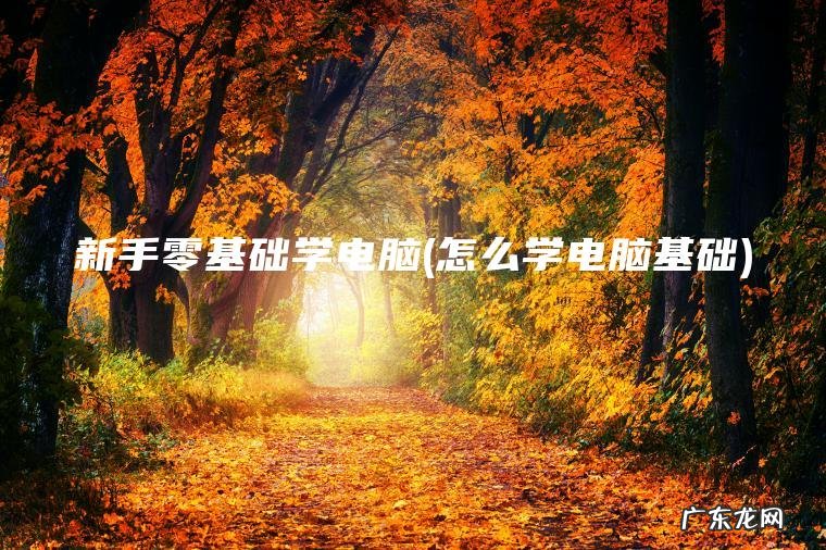 新手零基础学电脑(怎么学电脑基础)