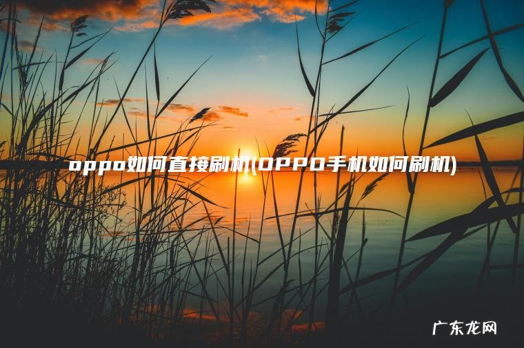oppo如何直接刷机(OPPO手机如何刷机)