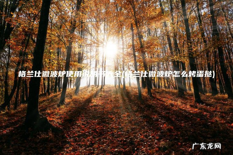 格兰仕微波炉使用说明书大全(格兰仕微波炉怎么烤蛋挞)