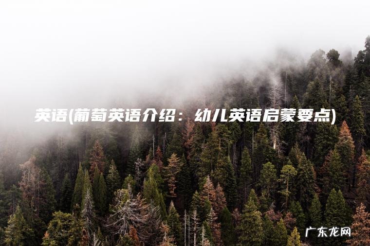 英语(葡萄英语介绍：幼儿英语启蒙要点)