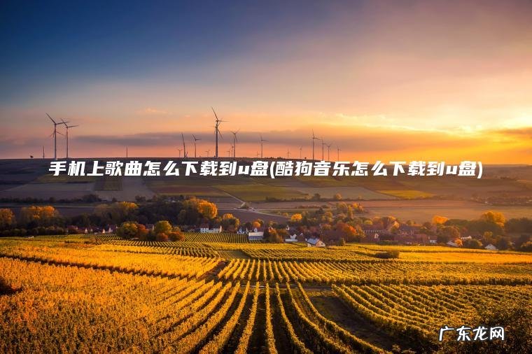 手机上歌曲怎么下载到u盘(酷狗音乐怎么下载到u盘)