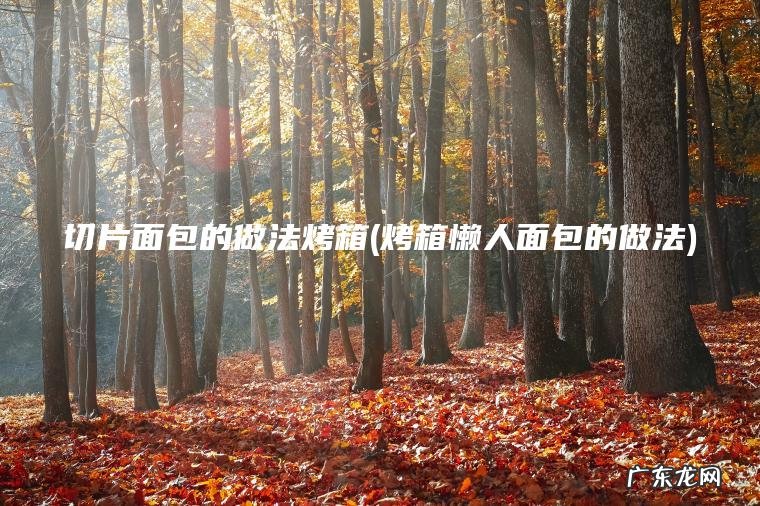 切片面包的做法烤箱(烤箱懒人面包的做法)