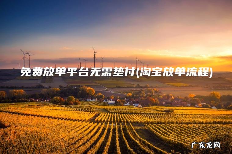 免费放单平台无需垫付(淘宝放单流程)