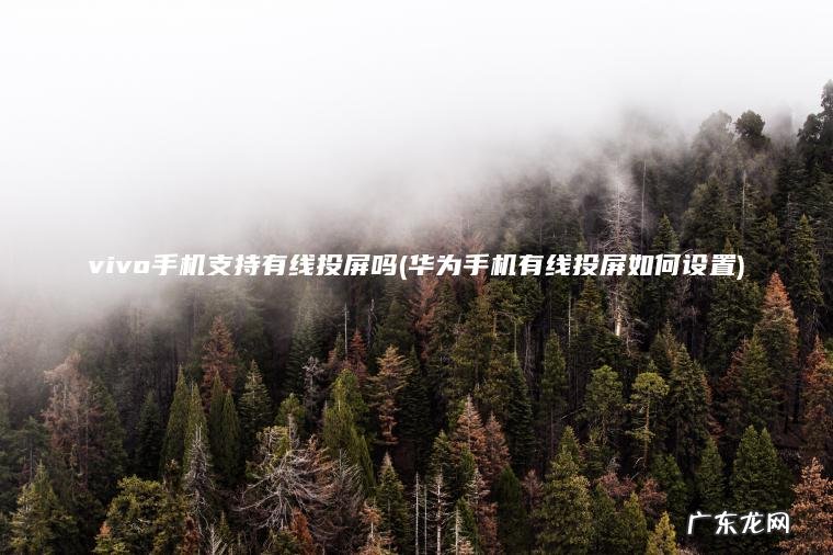 vivo手机支持有线投屏吗(华为手机有线投屏如何设置)
