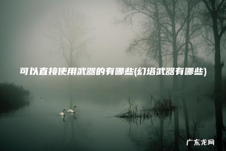 可以直接使用武器的有哪些(幻塔武器有哪些)