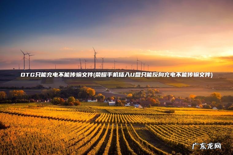 OTG只能充电不能传输文件(荣耀手机插入U盘只能反向充电不能传输文件)