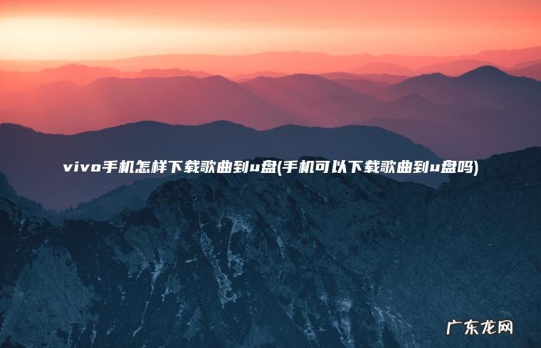 vivo手机怎样下载歌曲到u盘(手机可以下载歌曲到u盘吗)