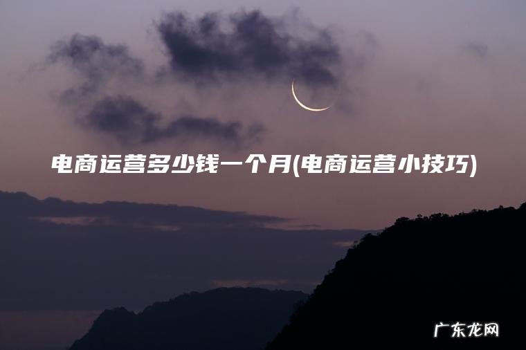 电商运营多少钱一个月(电商运营小技巧)