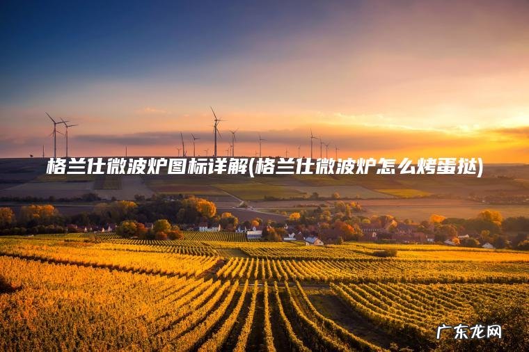 格兰仕微波炉图标详解(格兰仕微波炉怎么烤蛋挞)
