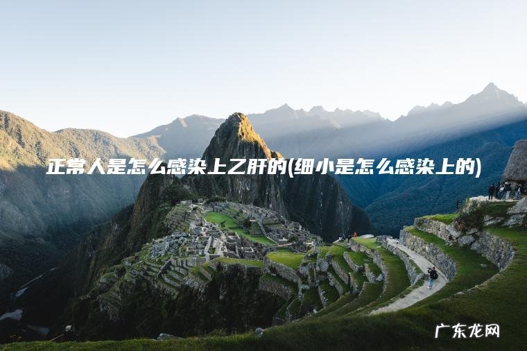 正常人是怎么感染上乙肝的(细小是怎么感染上的)