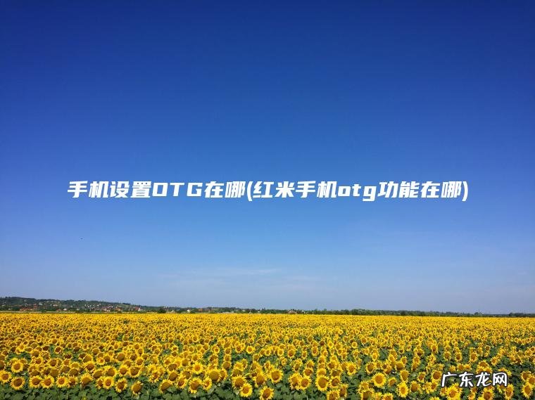 手机设置OTG在哪(红米手机otg功能在哪)