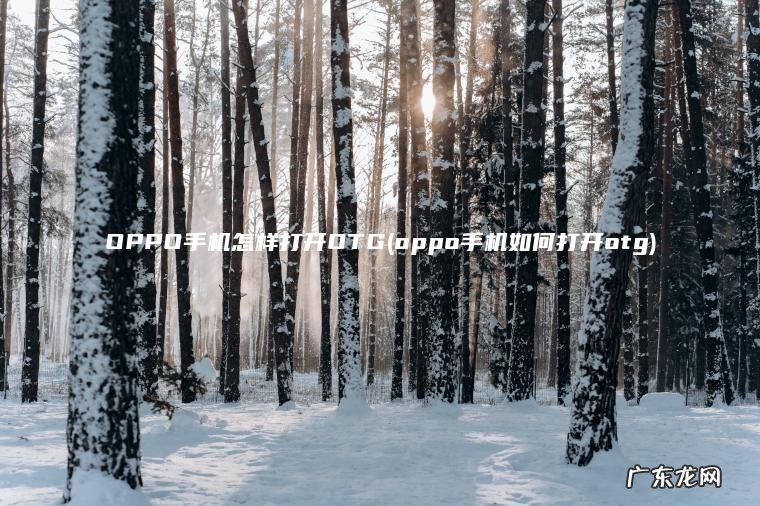 OPPO手机怎样打开OTG(oppo手机如何打开otg)