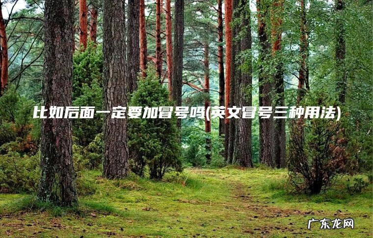 英文冒号三种用法 比如后面一定要加冒号吗
