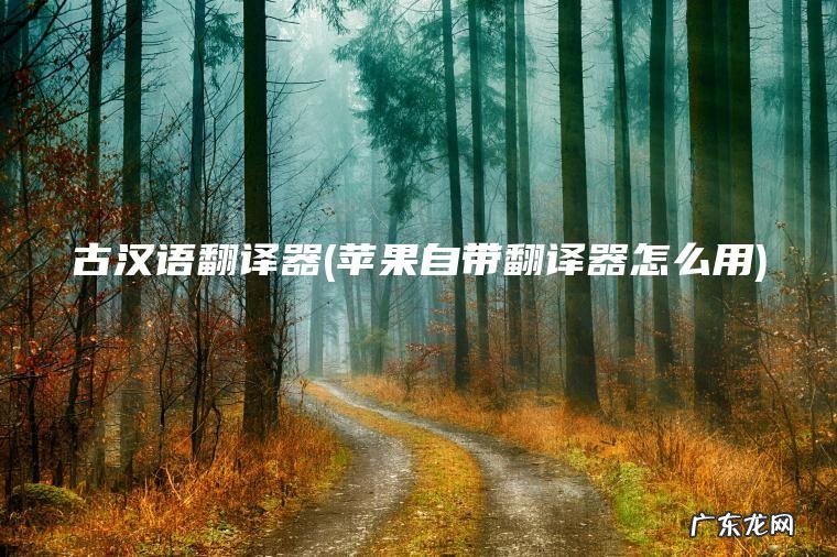 古汉语翻译器(苹果自带翻译器怎么用)
