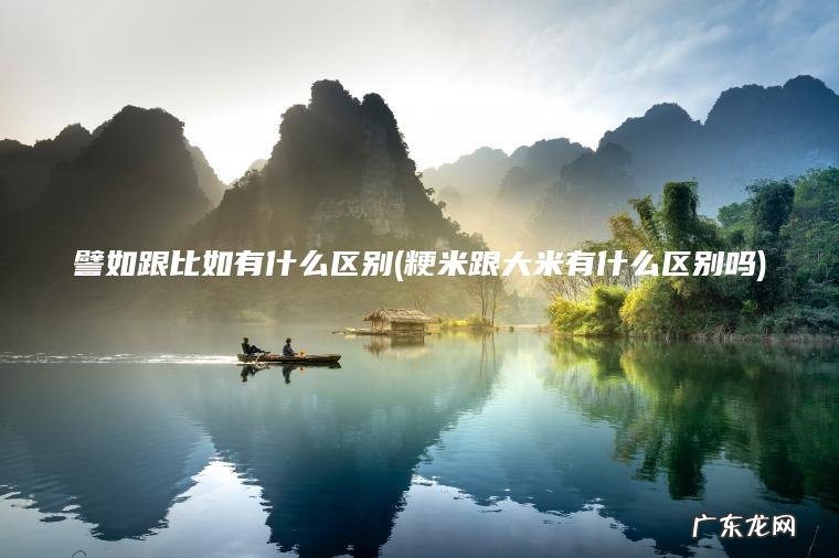 譬如跟比如有什么区别(粳米跟大米有什么区别吗)