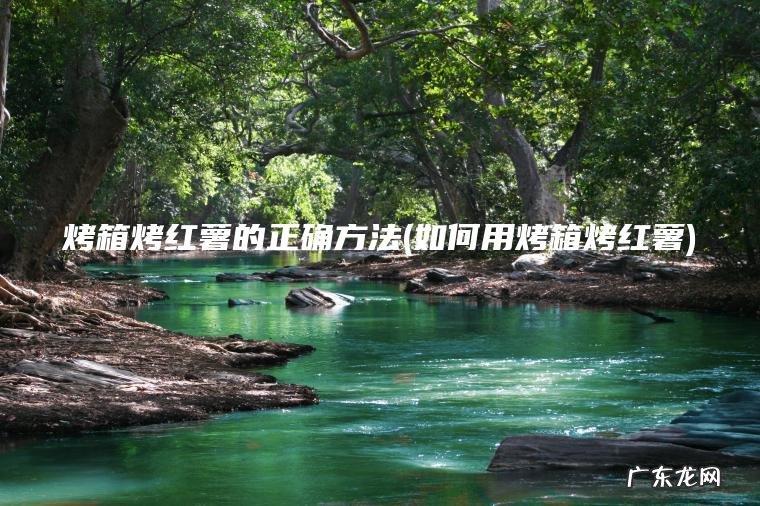 烤箱烤红薯的正确方法(如何用烤箱烤红薯)