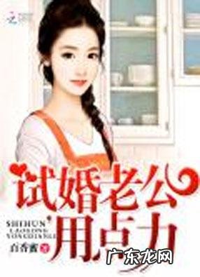 试婚是什么意思