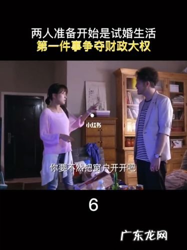 试婚是什么意思啊