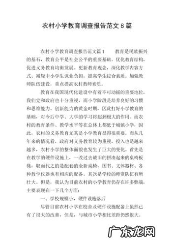 调研报告的范文