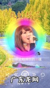 100首必听经典老歌之一