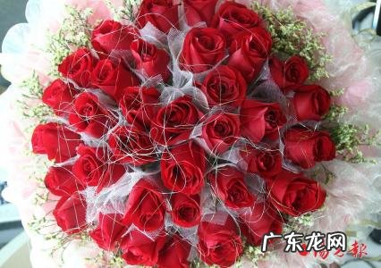 1392010是什么意思