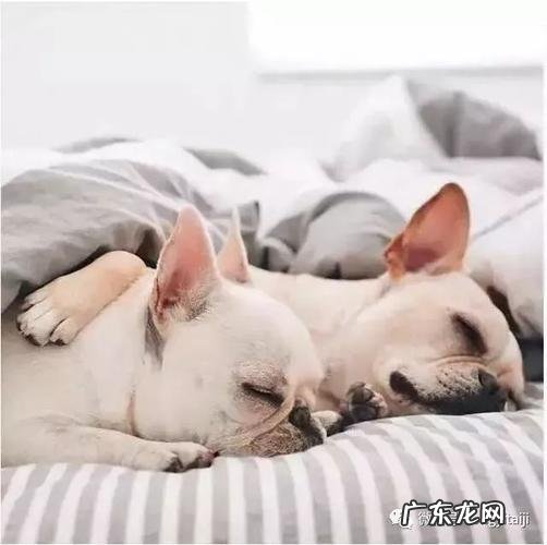 1分钟立马睡着的方法